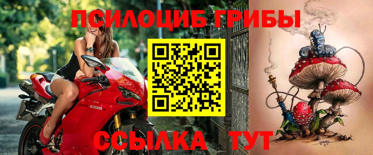 Галлюциногенные грибы Psilocybe  Галлюциногенные грибы Cubensis  Татарск  Вход с VPN 